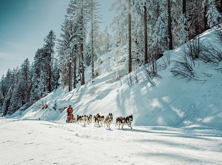 Wallis, Les Giettes, Huskyschlittenfahrt(c)ST_Ivo Scholz