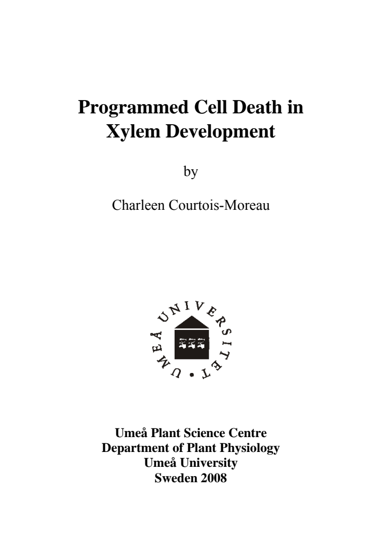 Programmed Cell Death in Xylem Development