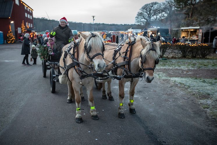 Varje dag kan besökarna åka häst och vagn