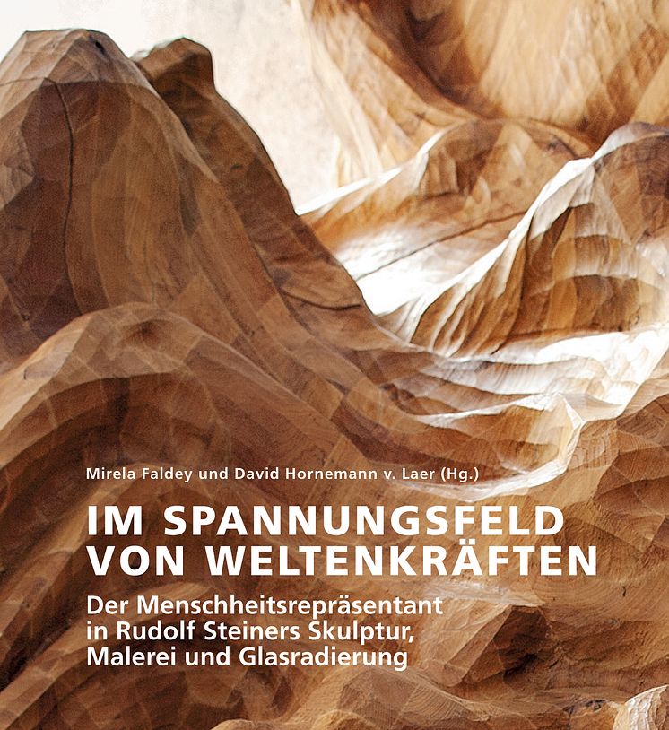 Cover VamG Zum Menschheitsreprasentanten_Motiv von Mirela Faldey