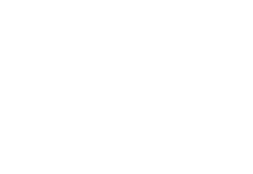 logo kompani svan.png