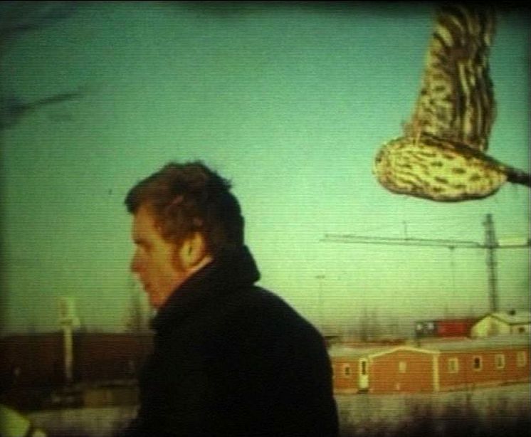 Mats Adelman, "Backwood", 2000, video still överförd till DVD. Cyklande man med flygande uggla bakom.