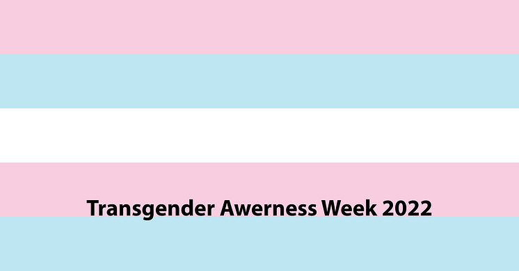 transgender-awareness-logo