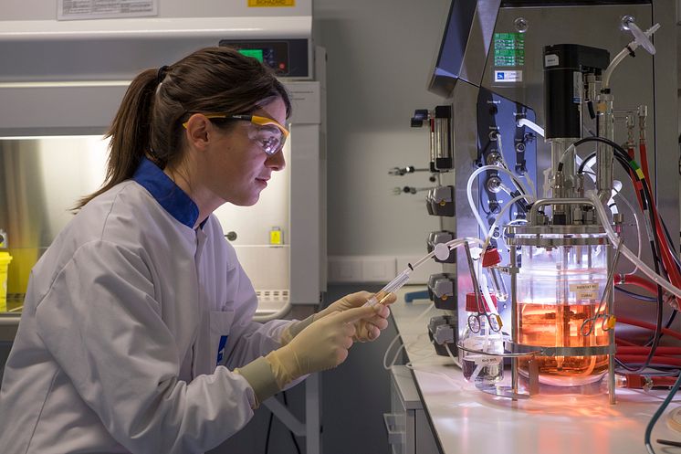 3. Técnica trabajando con un bioreactor_HIPRA