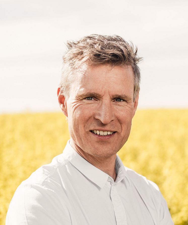 Marknadschef Henrik Fridholm