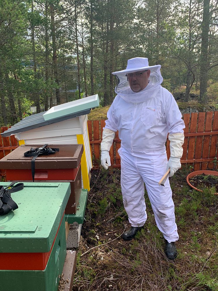 Botkyrkabyggens fastighetsvärd Dennis Cronlund redo att samla in honung