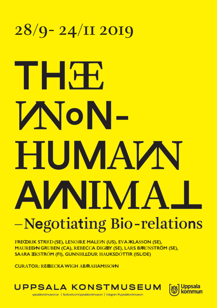 The Non-Human Animal - hand out