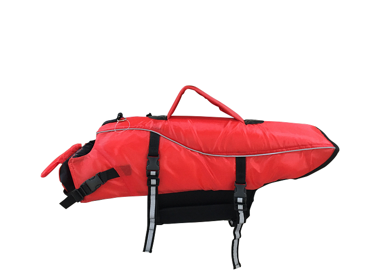 103997_104001_Basic_Float_Lifevest.png