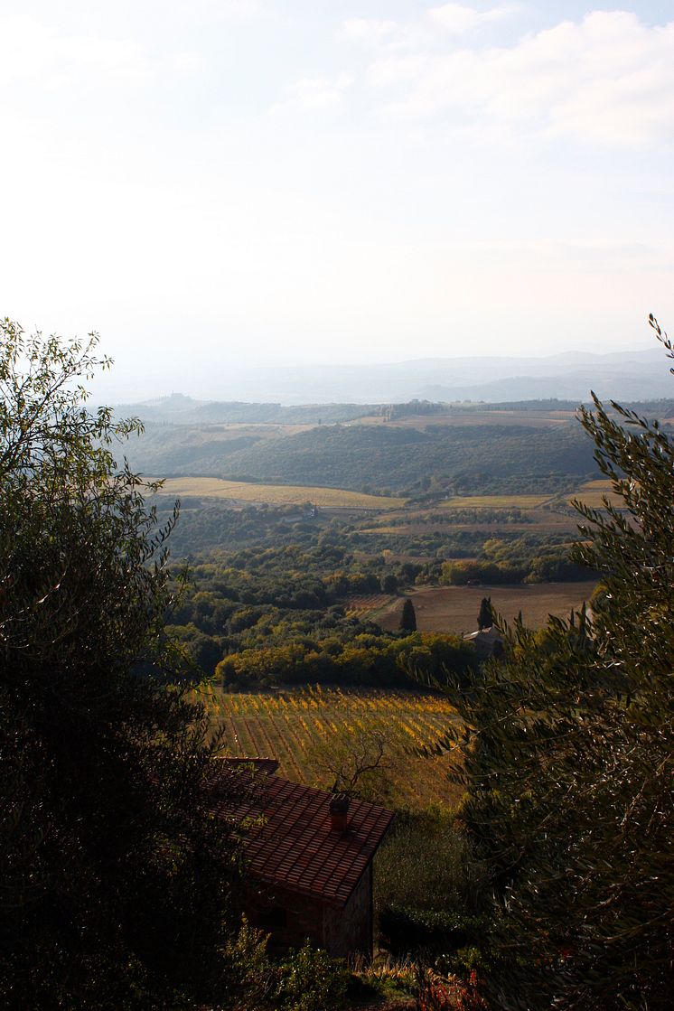 Montalcino