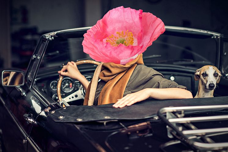 BotaniCar 