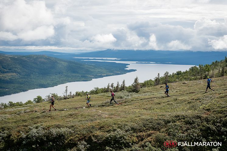 Kia Fjällmaraton-132