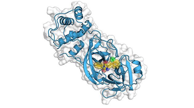 coronavirus enzyme_webb