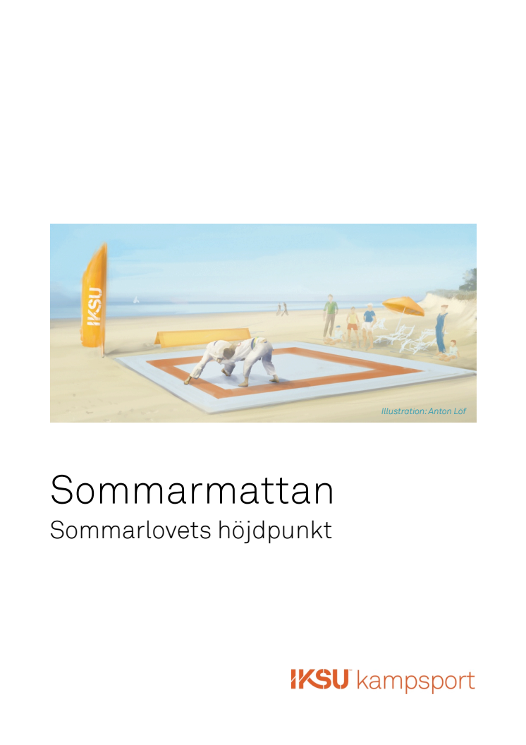 Projektbeskrivning Sommarmattan 2013