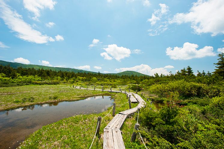 Trekking(Zao)