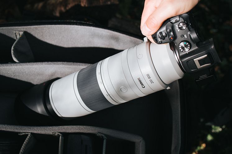 RF 200-800mm F6.3-9 IS USM_lifestyle-Get-Inspired-52