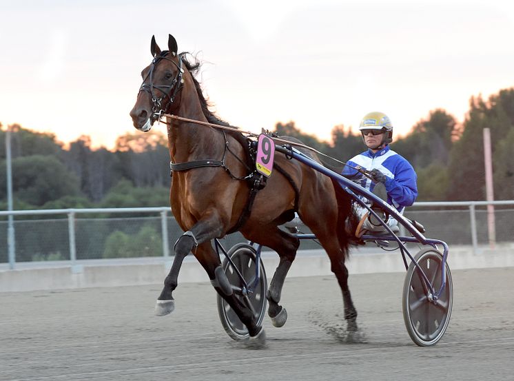 Ecurie D. är inbjuden till Elitloppet.