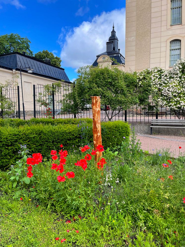 Mångfaldsgården - 2.jpg