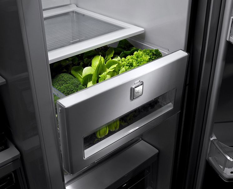 Vacuum Fresh Crisper