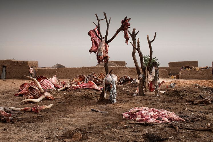 Marco Di Lauro / Getty Images Reportage