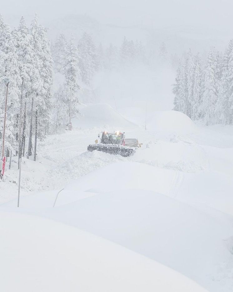 Snöläggning Björnrike2