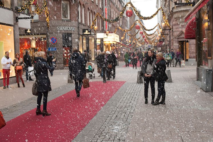 Årets första snö i Bibliotekstan