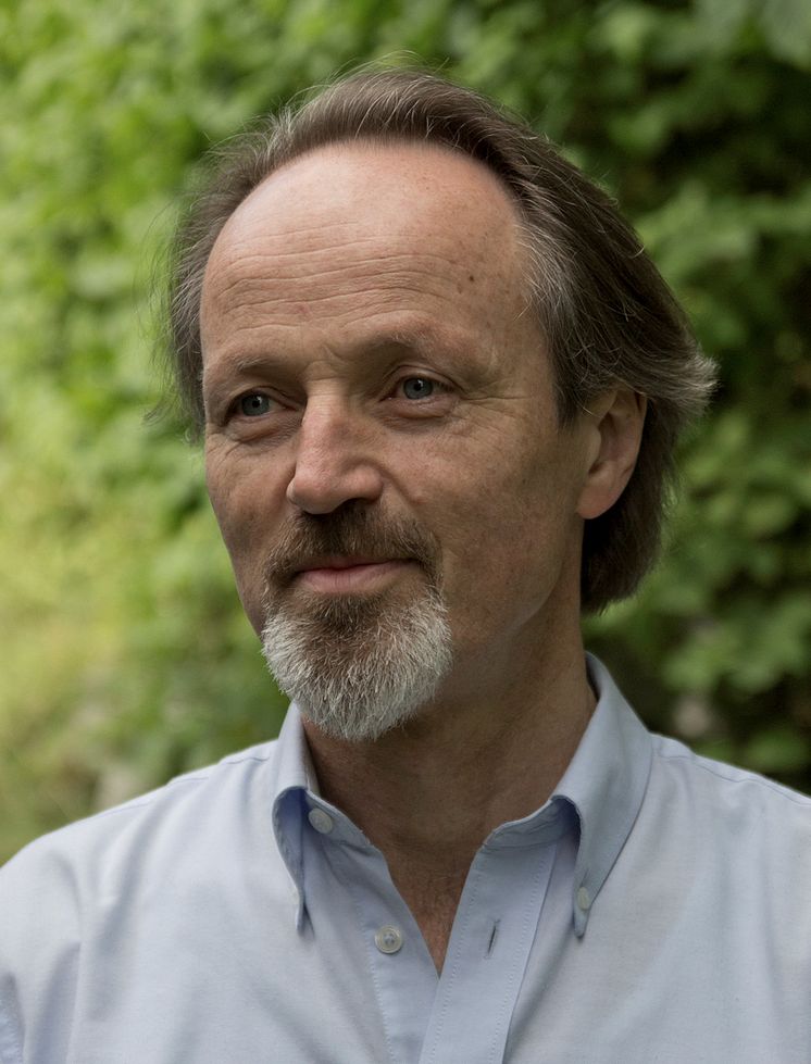 Foto av Stein Versto