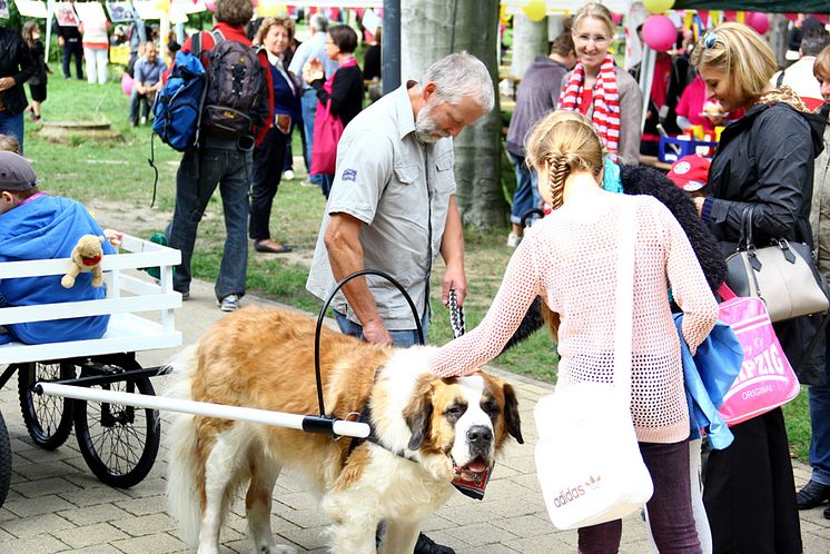 Tag der offenen Tür 2015