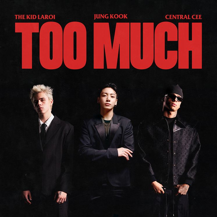 TOO MUCH - omslag