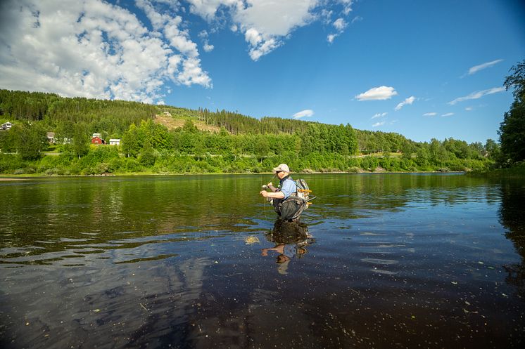 Fiske i Trysil