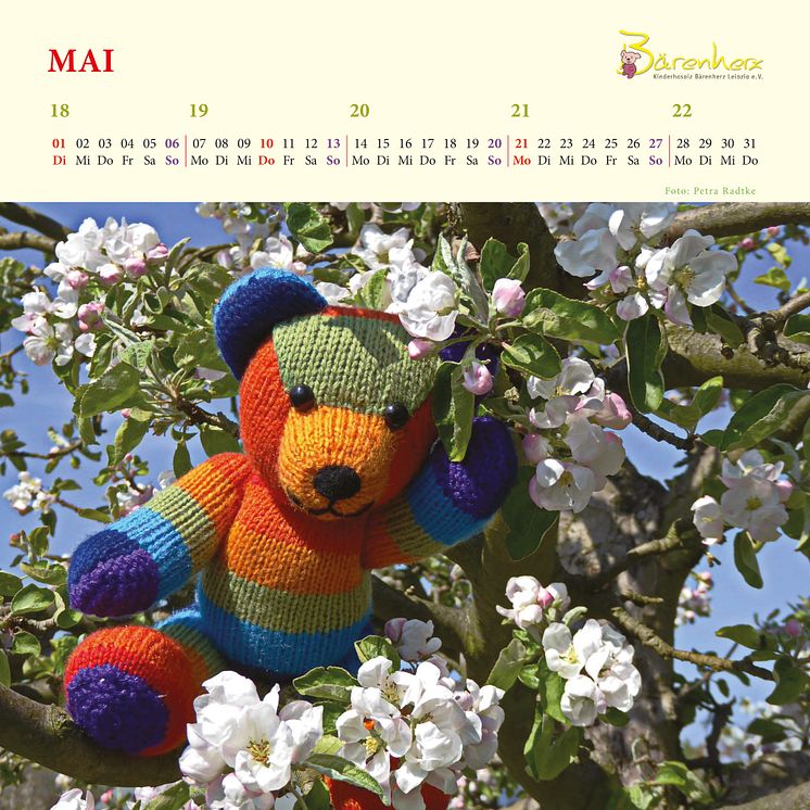  Mit Bärenherz durchs Jahr 2018 - Der neue Bärenherz-Kalender 