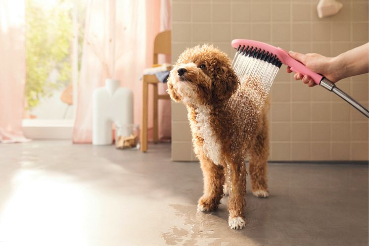 DogShower fra hansgrohe