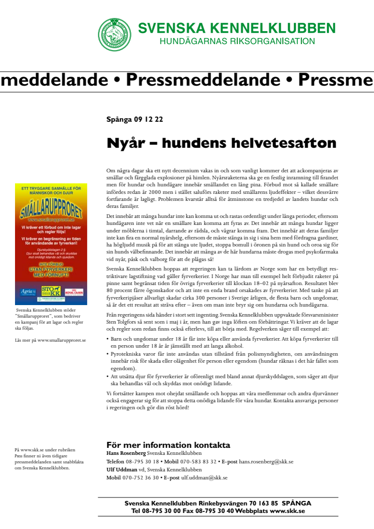 Nyår – hundens helvetesafton