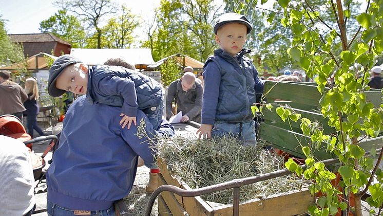 Emil-pojkar på Skansen