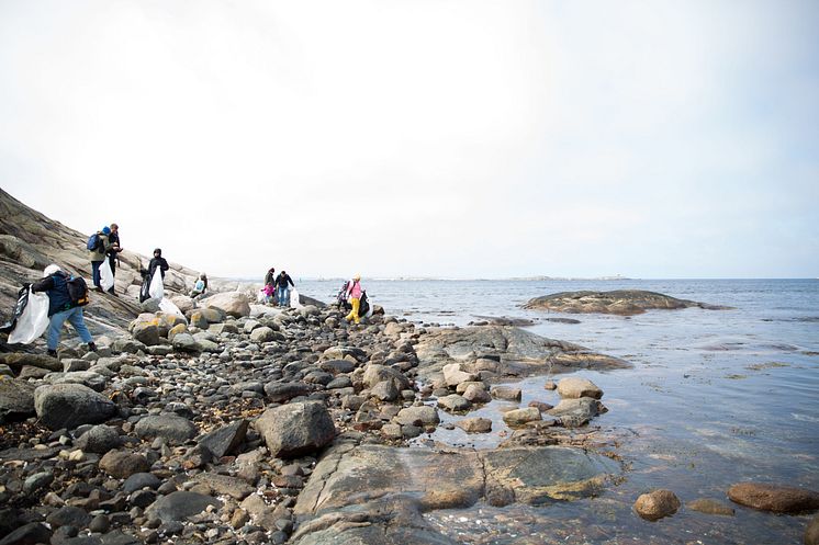 Skräpplockning längs bohuskusten