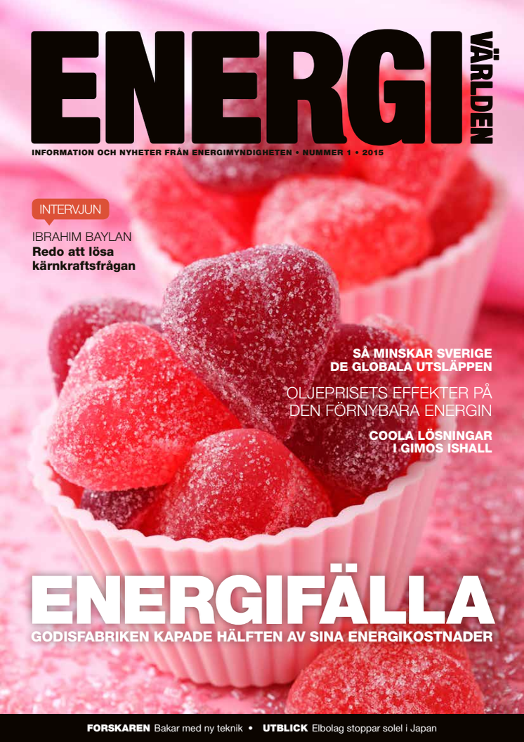 Reportage om programmet i Energivärlden nr 1, 2015 (sid 20-23)