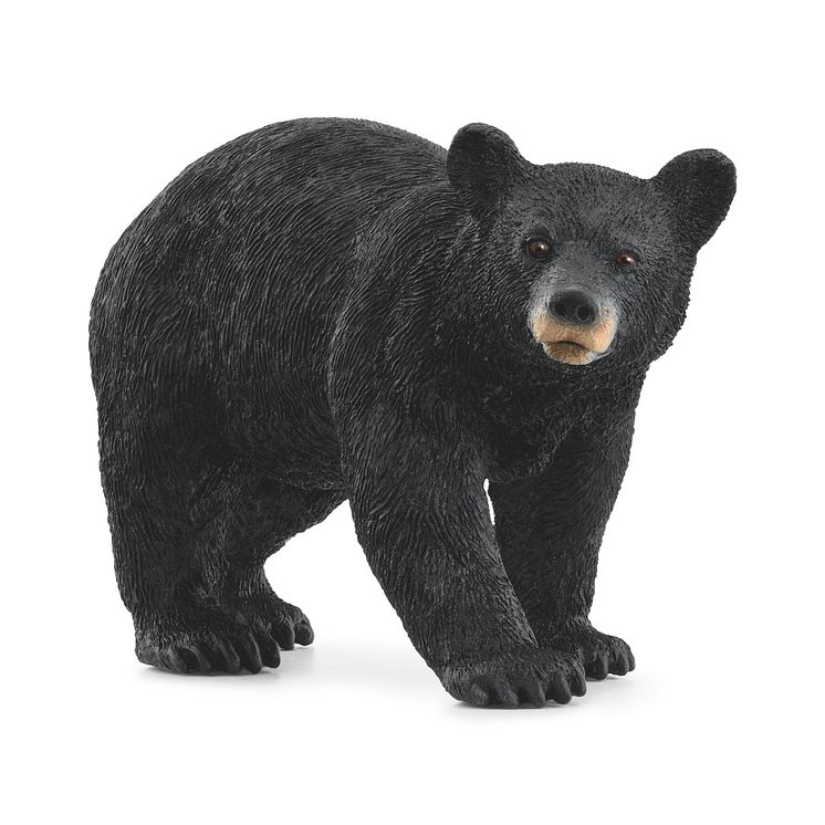 14869_Wild Life_American Black Bear (c)Schleich