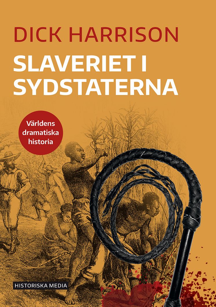 Slaveriet i sydstaterna