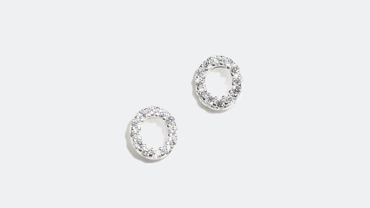Earrings - 129 kr
