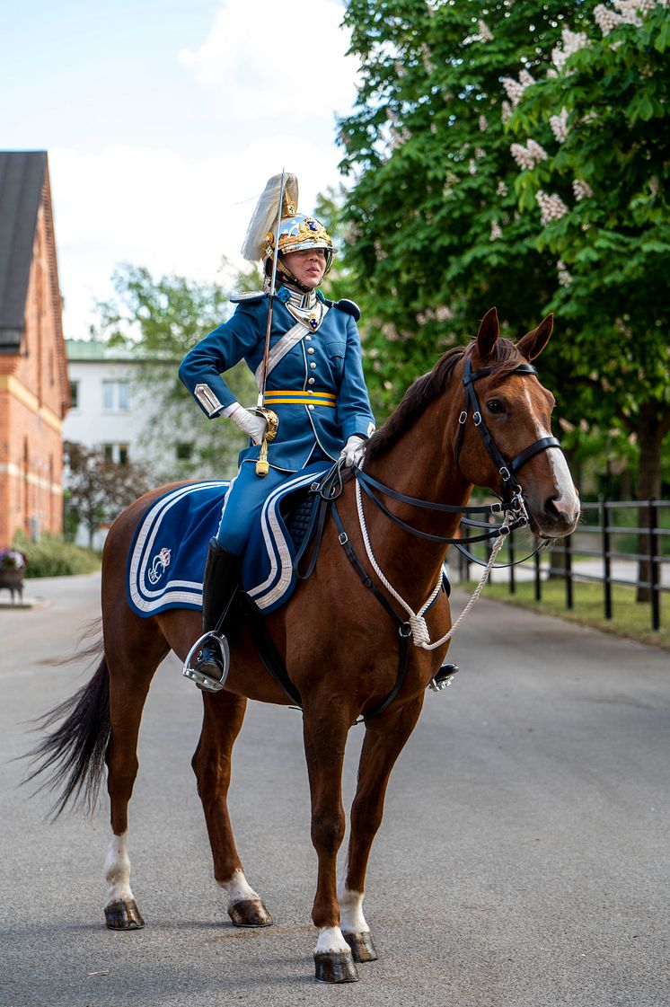 NyaParadhjälmen2_Foto_JennyRingström-Försvarsmakten.jpg