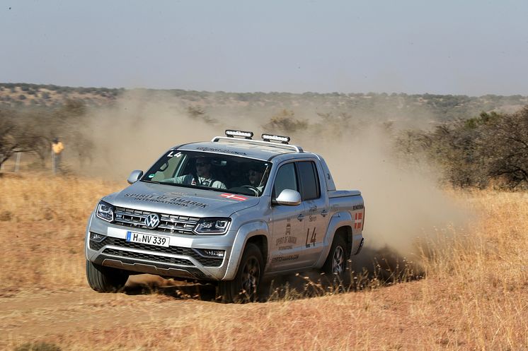 Spirit of Amarok 2019