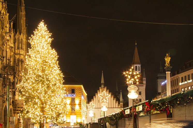 11. Weihnachtsbaum in München