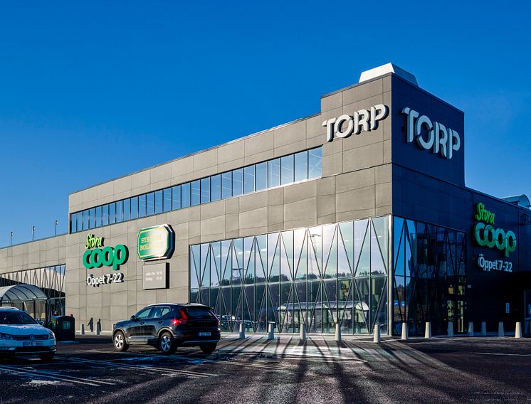 Torp