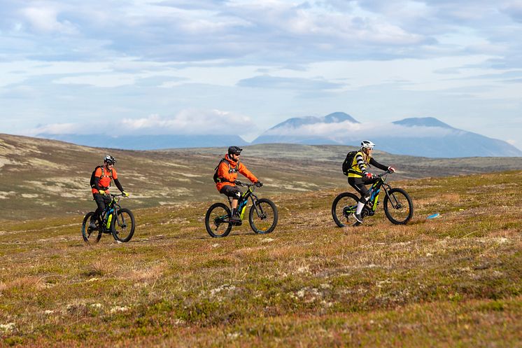 El-sykling på fjellet