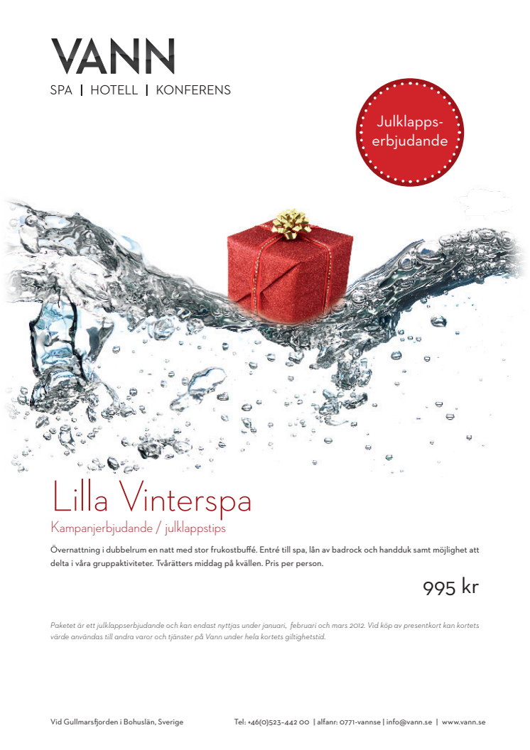 Årets julklapp - upplevelse!