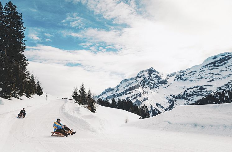 Schlitteln in Les Diablerets