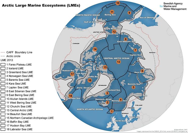 Marina experter samlas: ”Arktis vatten behöver ökat skydd mot klimatförändring och havsförsurning”