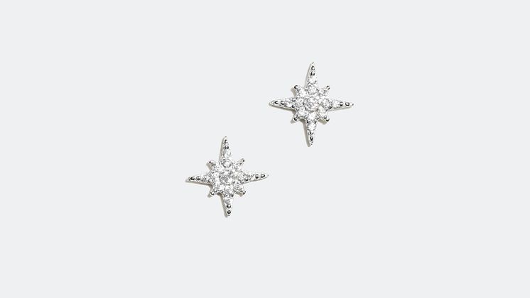 Earrings - 16,99 €