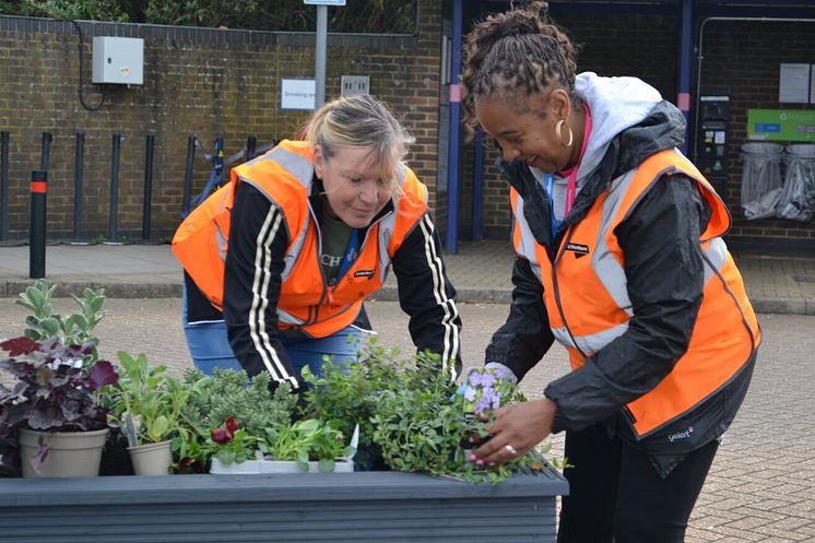 Luton Airport Parkway station planting