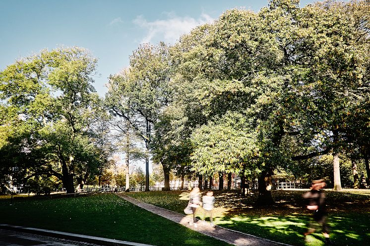 Lunds Stadspark, granne med Arenaparken