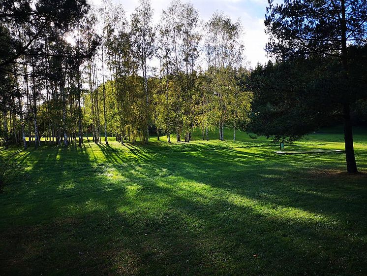 Plats för planerad ceremonibyggnad ( bild 1 - före visualisering)